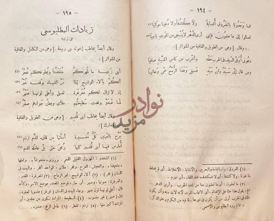 صفحة داخلية كتاب شرح ديوان عنترة بن شداد زيادات البطليوسي