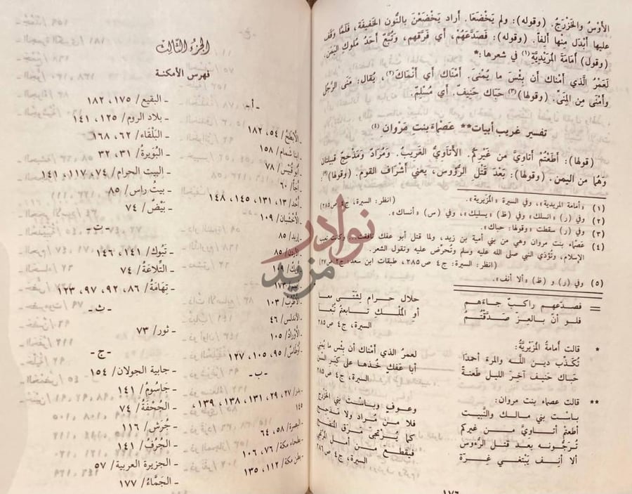 كشاف كتاب الاملاء المختصر في شرح غريب السير فهرس الأماكن