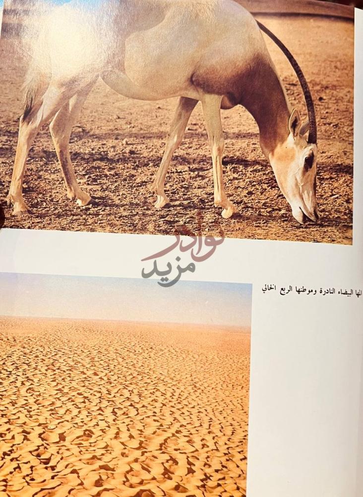 صفحة داخلية كتاب المملكة العربية السعودية