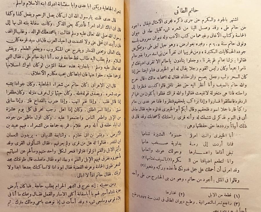 الشعراء الجاهليون/محمد خفاجي