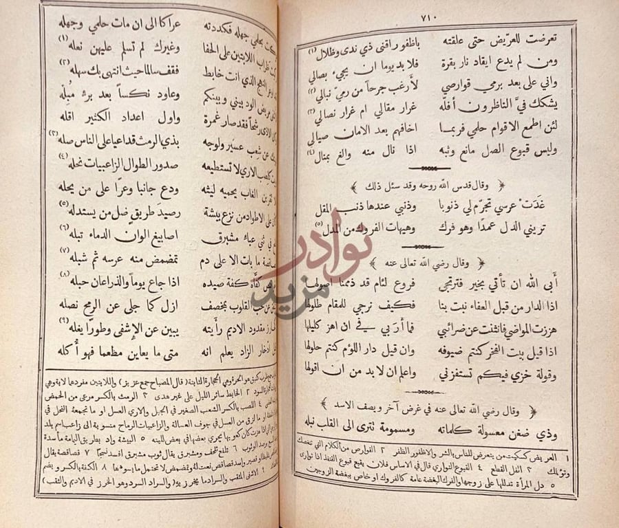صفحة داخلية كتاب ديوان اشعر الهاشميين الذين هم افصح العرب