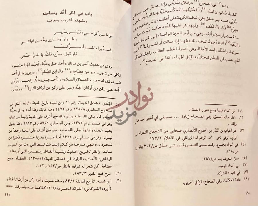 صفحة داخلية كتاب الجواهر الثمينة في محاسن المدينة