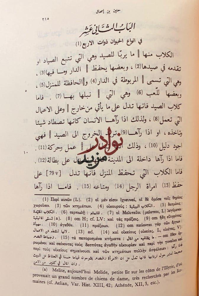 تعبير الرؤيا تجليد اركان ارطاميدورس