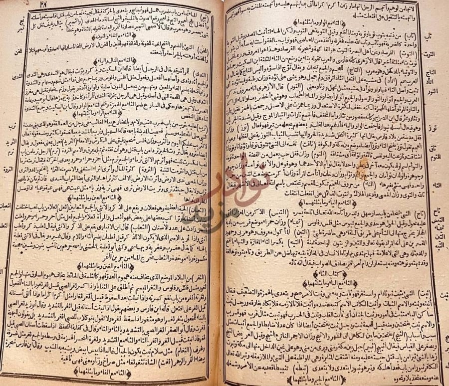 صفحة داخلية كتاب المصباح المنير في غريب الشرح الكبير