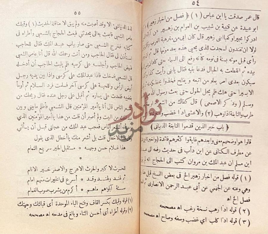 صفحة داخلية كتاب ديوان النابغة الذبيانى باب خبر الذين قدموا