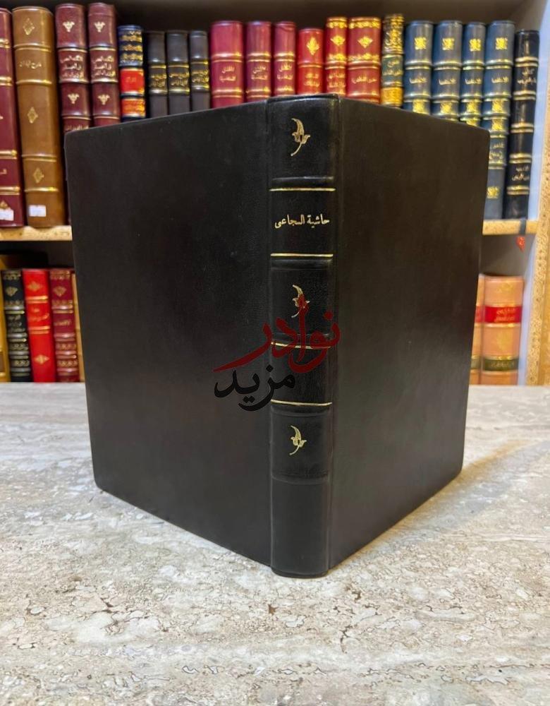 حاشية السجاعي على شرح ابن عقيل على متن الفية ابن مالك في علم العربية/ السجاعي