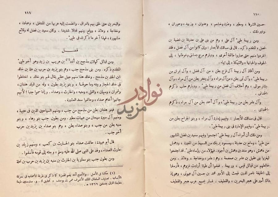 صفحة داخلية كتاب المنتخب في ذكر قبائل العرب فصل