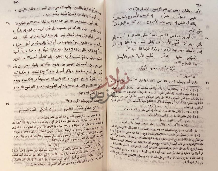صفحة داخلية كتاب المنقوص والممدود والتنبيهات