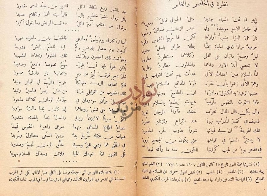 صفحة داخلية كتاب ديوان الملاط نظرة في الحاضر