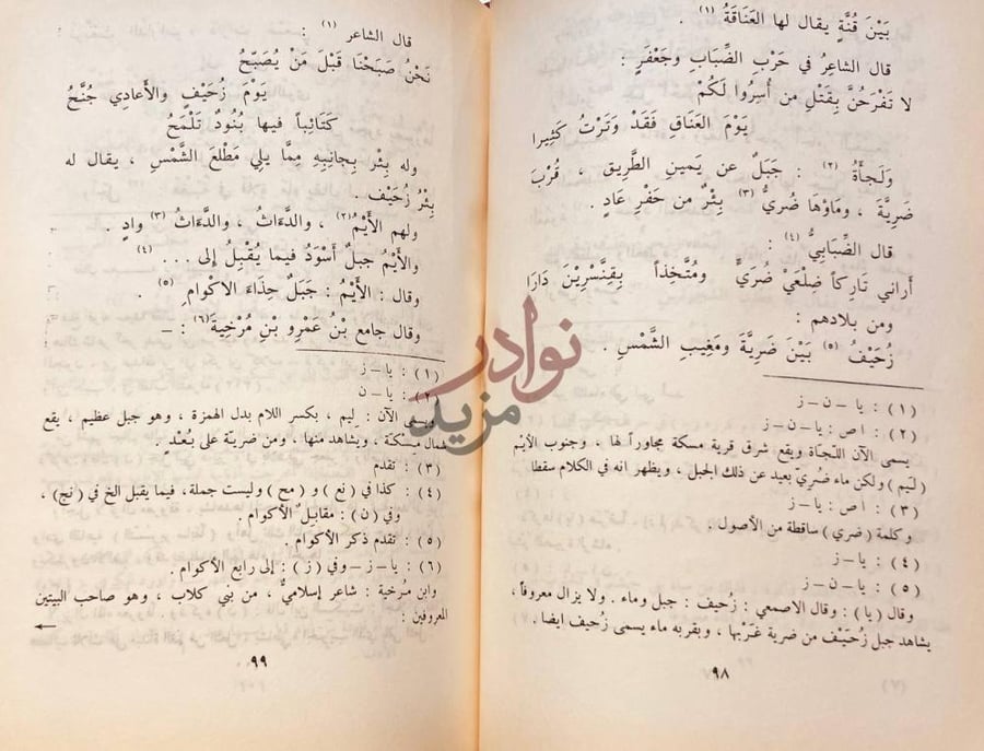 صفحة داخلية كتاب بلاد العرب