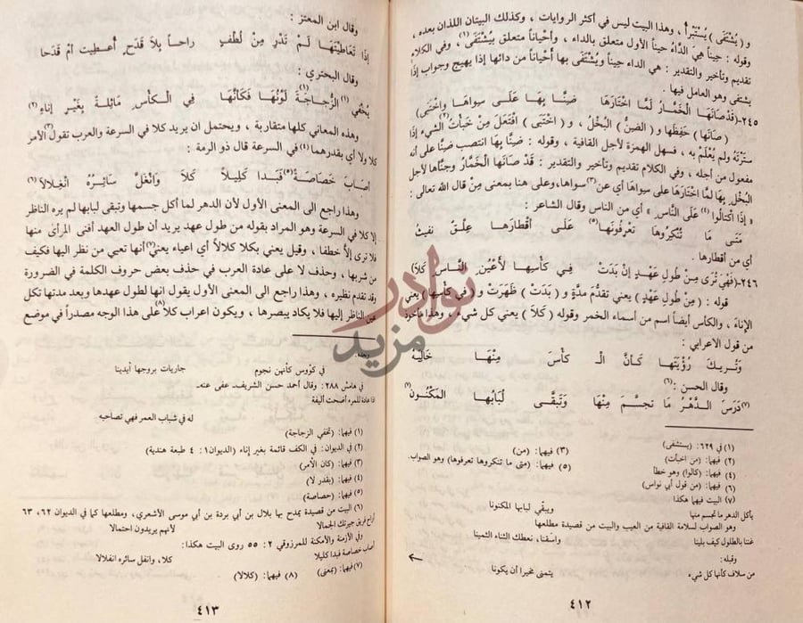 صفحة داخلية كتاب الفوائد المحصورة في شرح المقصورة