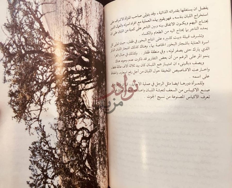 صفحة داخلية كتاب ظفار ارض اللبان