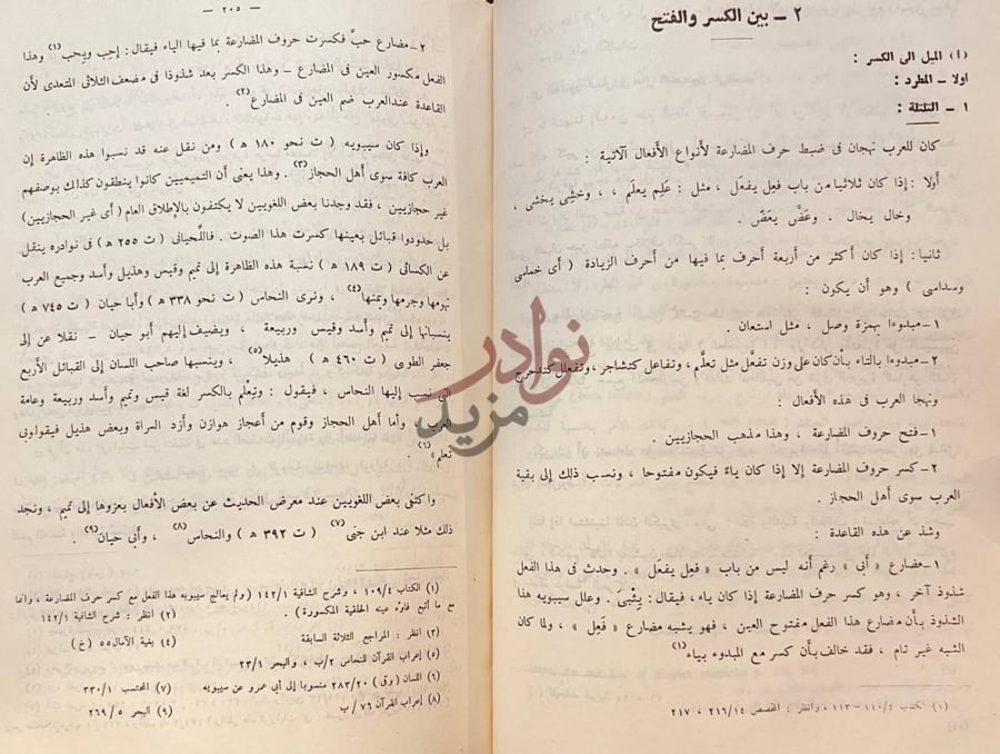 صفحة داخلية كتاب لغة تميم دراسة وتاريخية وصفية