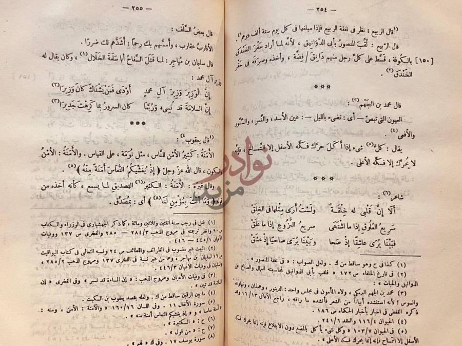 صفحة داخلية كتاب البصائر والذخائر صفحتان متقابلتان