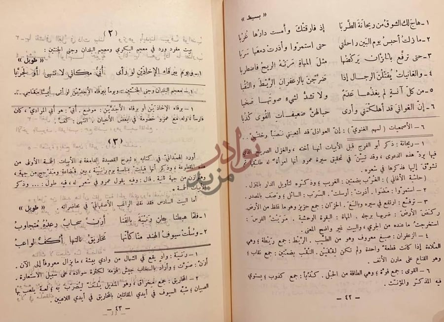 صفحة داخلية كتاب شعر عمرو بن معد يكرب الزبيدي