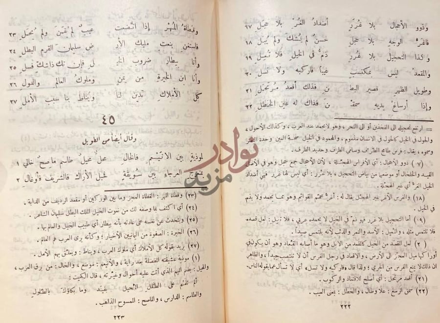 صفحة داخلية كتاب ديوان السلطان سليمان بن سليمان النبهاني