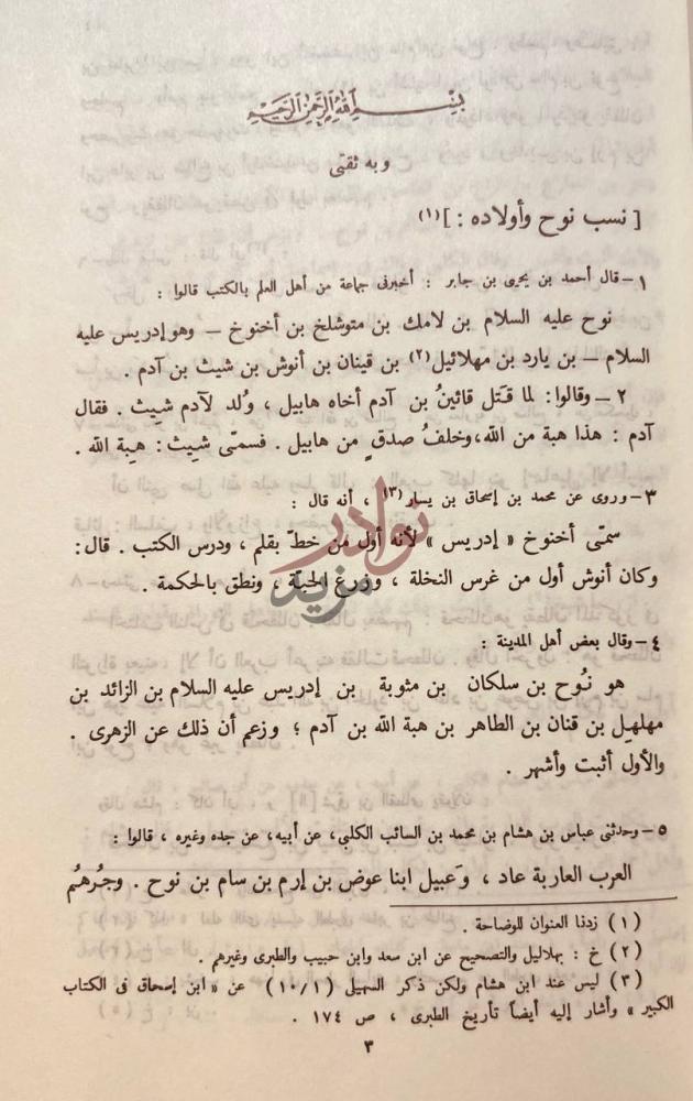صفحة داخلية كتاب انساب الاشراف نسب نوح وأولاده