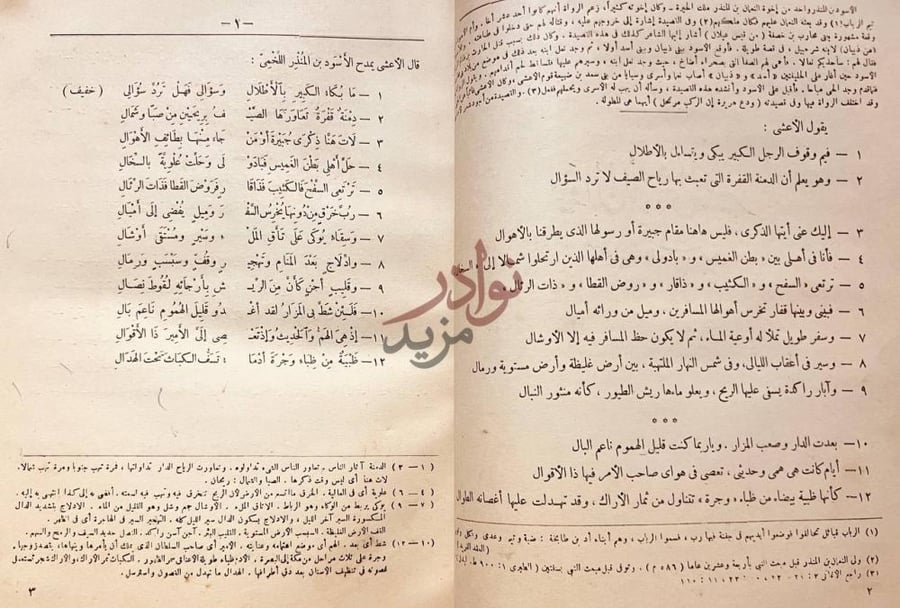 صفحة داخلية كتاب ديوان الاعشى الكبير قال الأعشى يمدح