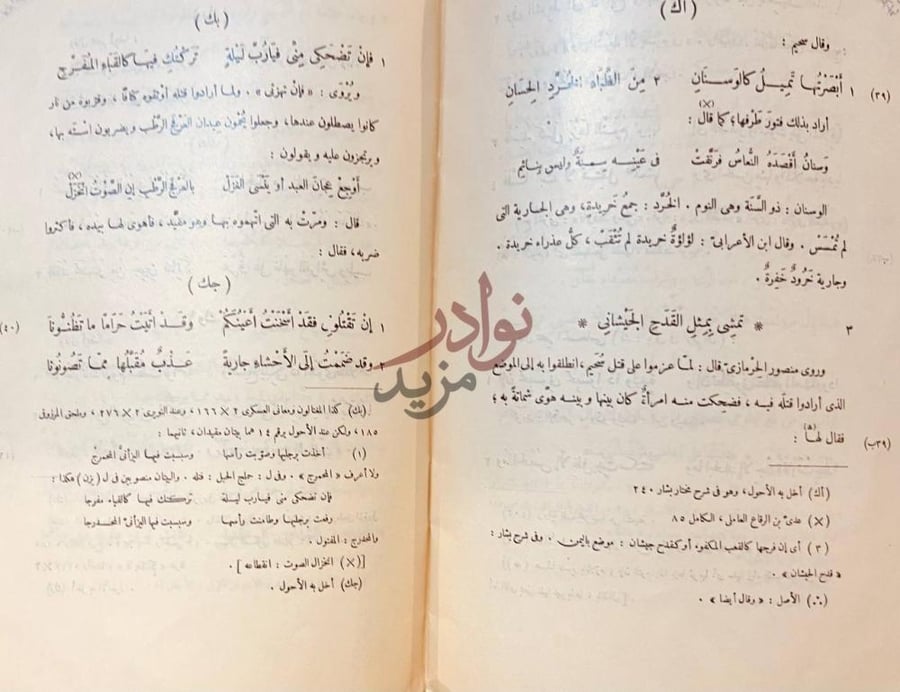 صفحة داخلية كتاب ديوان سحيم صفحات من النص الشعري