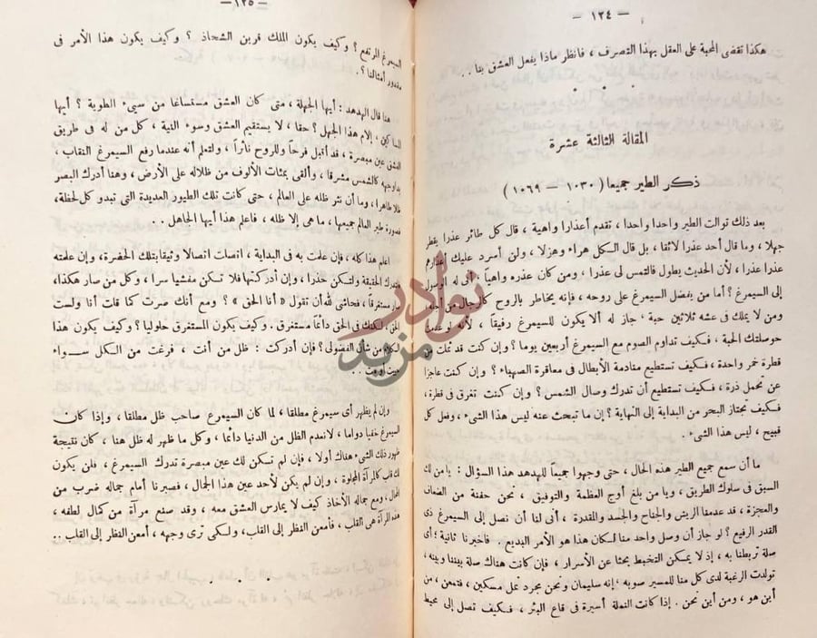 صفحة داخلية كتاب منطق الطير المقالة الثالثة عشرة