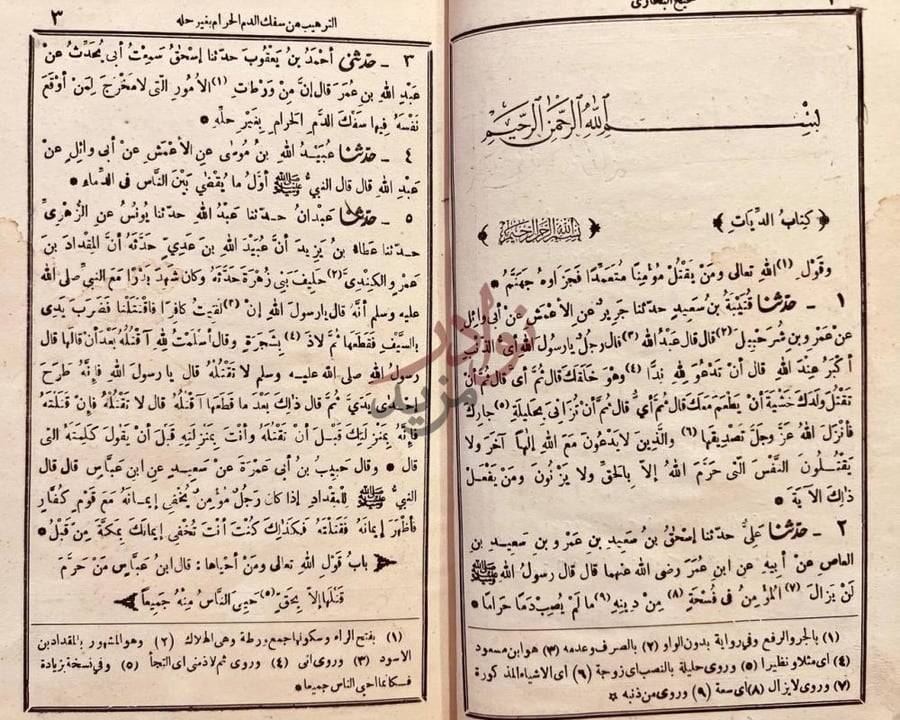 صفحة داخلية كتاب صحيح البخاري كتاب الديات