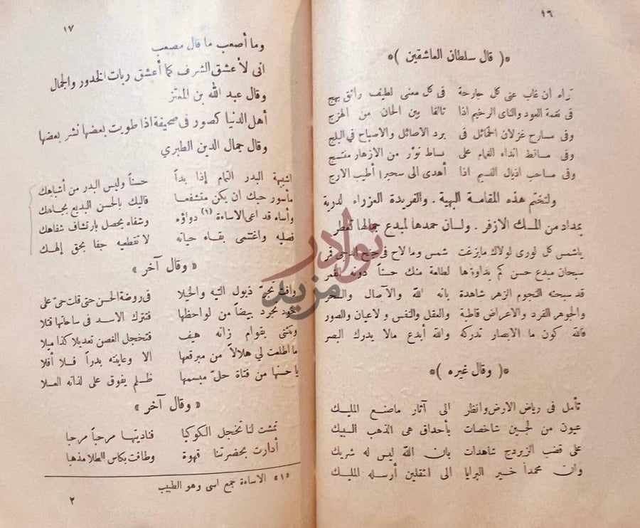 صفحة داخلية كتاب مطالع البدور في محاسن ربات الخدود