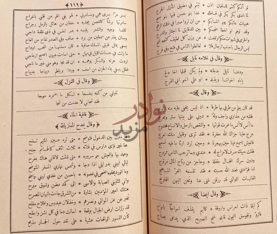 صفحة داخلية كتاب ديوان البحتري نصوص شعرية