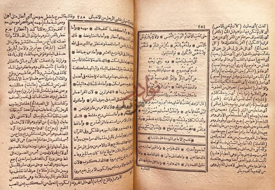 صفحة داخلية كتاب المقامات الادبية او مقامات الحريري