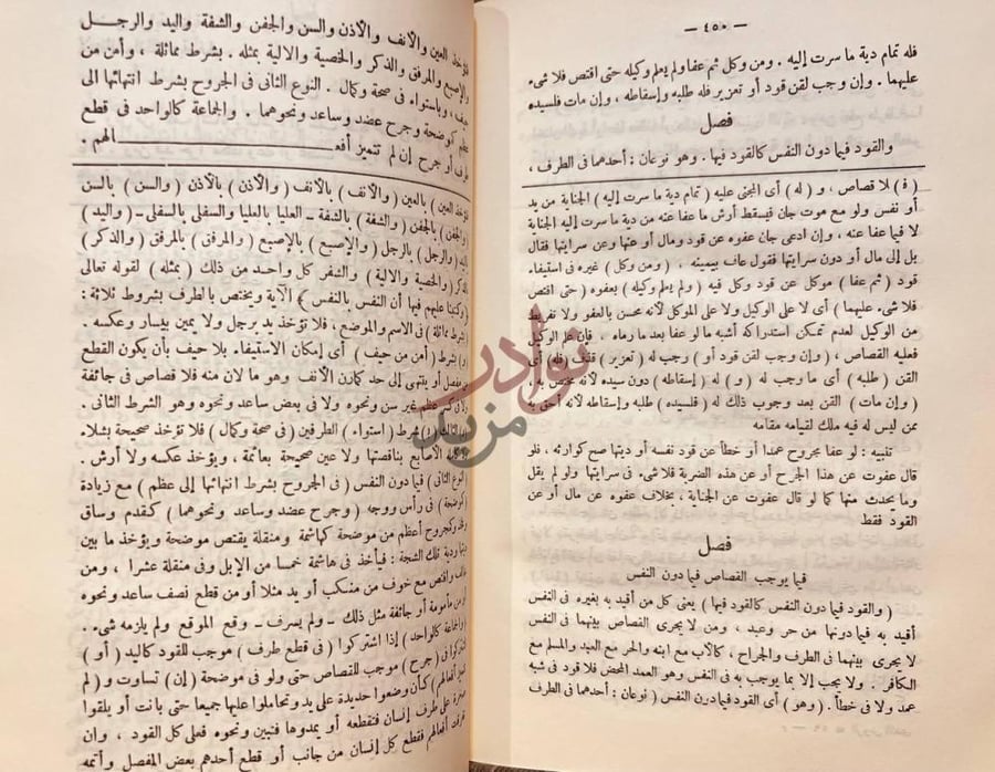 صفحة داخلية كتاب الروض الندى شرح كا في المبتدى فصل