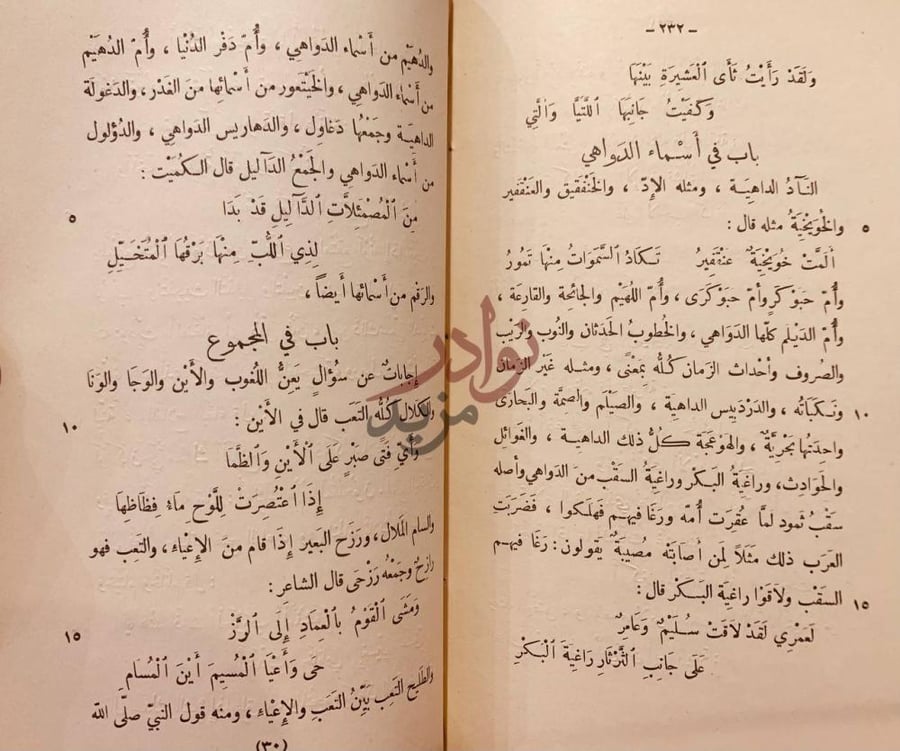 صفحة داخلية كتاب نظام الغريب باب في أسماء الدواهي