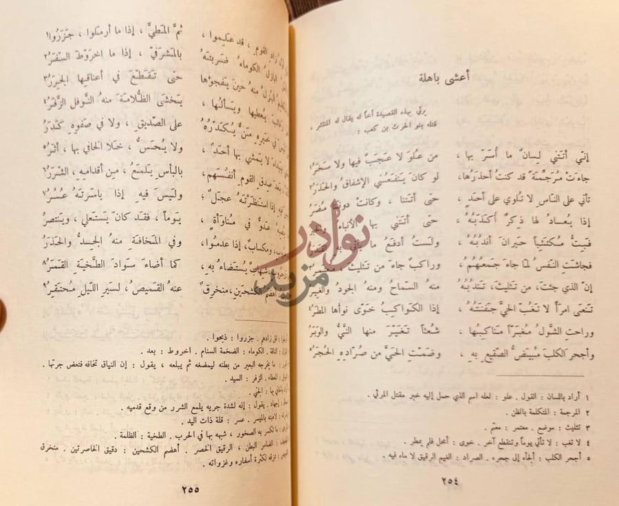 صفحة داخلية كتاب جمهرة اشعار العرب أعشى باهلة