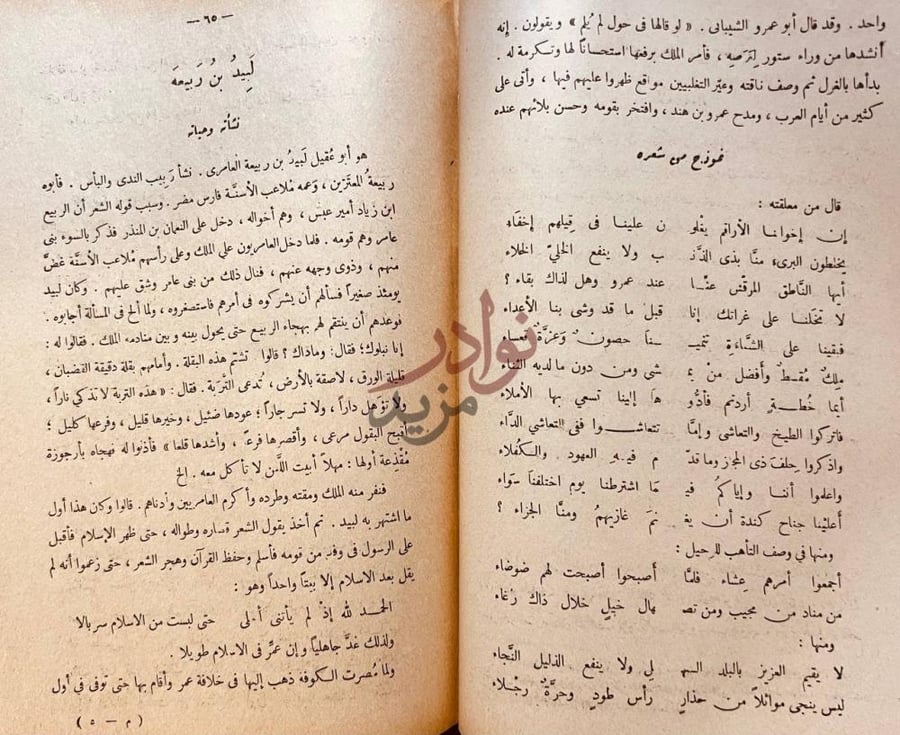 صفحة داخلية كتاب تاريخ الادب العربي لبيد بن ربيعة