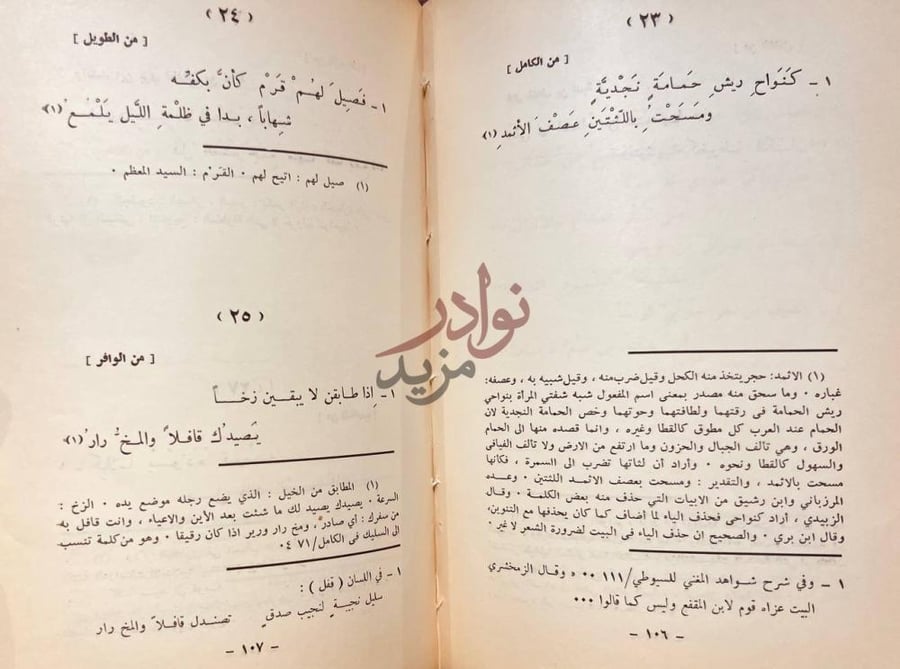 صفحة داخلية كتاب شعر خفاف بن ندبة السلمي