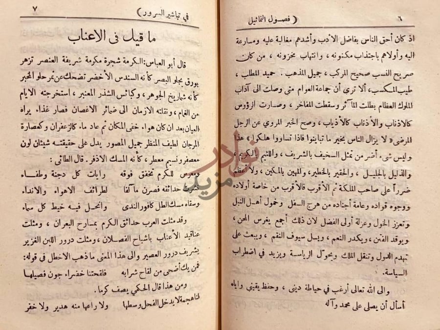 صفحة داخلية كتاب فصول التماثيل في تباشير السرور