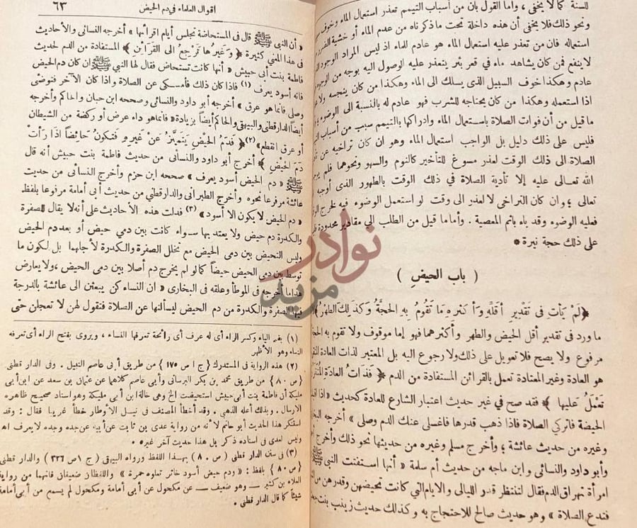 صفحة داخلية كتاب الروض الندية شرح الدر البهية باب الحيض