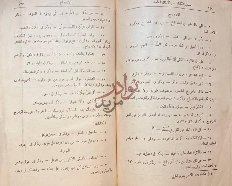 صفحة داخلية كتاب الكنايات العامية الازدواج