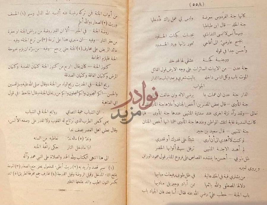 صفحة داخلية كتاب ثمار القلوب في المضاف والمنسوب