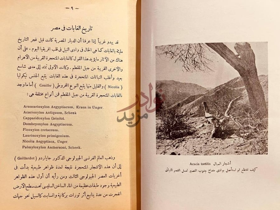 صفحة داخلية كتاب الاشجار الخشبية تاريخ الغابات في مصر