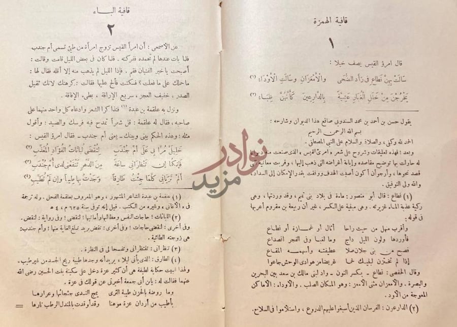 صفحة داخلية كتاب ديوان امرئ القيس قافية الهمزة قافية