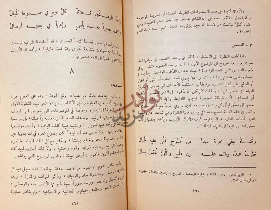 صفحة داخلية كتاب لبيد ابن ربيعة العامري أسلوبه