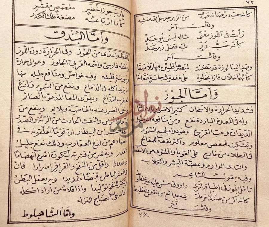 صفحة داخلية كتاب المقامات السيوطية قامت الموز