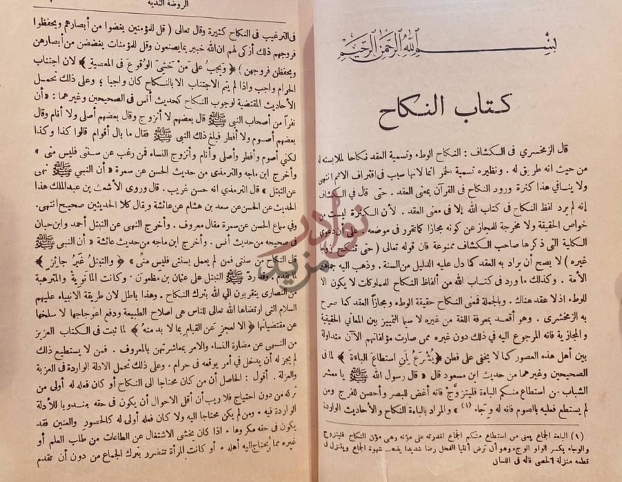 صفحة داخلية كتاب الروضة الندية شرح الدرر البهية
