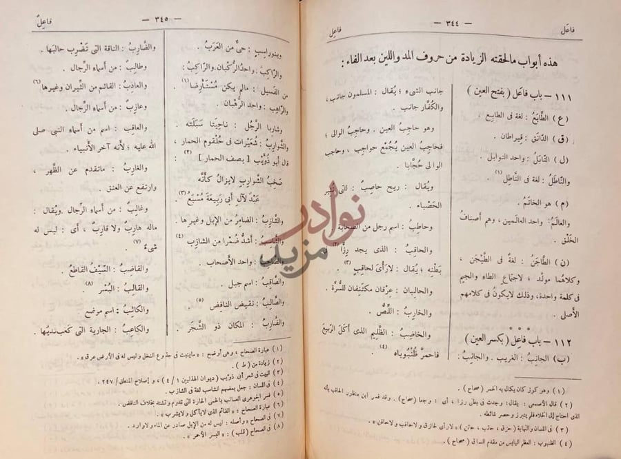 صفحة داخلية كتاب ديوان الادب هذه أبواب ملحقته