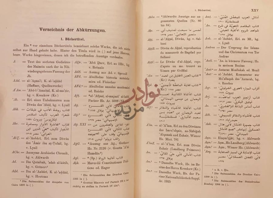 صفحة داخلية كتاب الصبح المنير في شعر ابي بصير