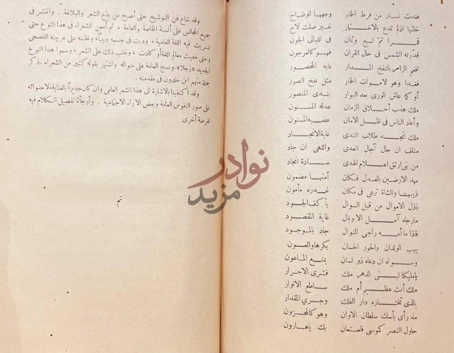 صفحة داخلية كتاب بلاغة العرب في الاندلس