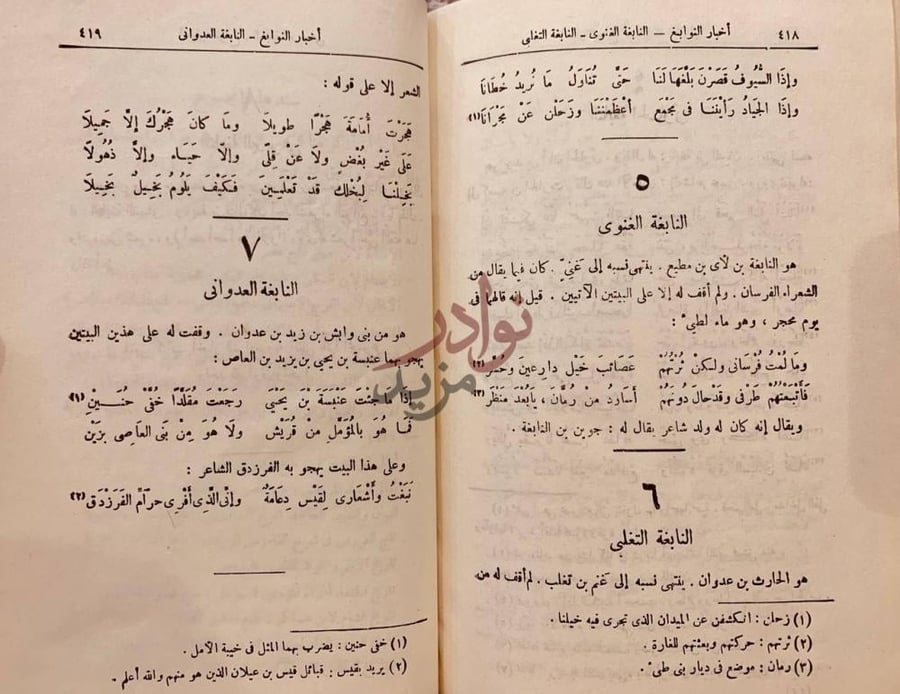 صفحة داخلية كتاب شرح ديوان امرئ القيس النافعة الغنوي