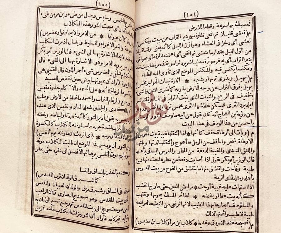 صفحة داخلية كتاب شرح ديوان امرء القيس شرح قصائد امرئ القيس