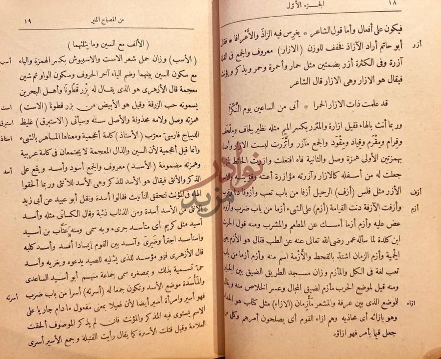 صفحة داخلية كتاب المصباح المنير في غريب الشرح الكبير مجلد