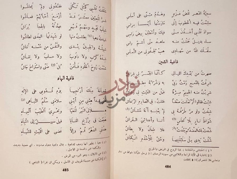 صفحة داخلية كتاب ابو الحسن الحصري القيرواني قافية الشين