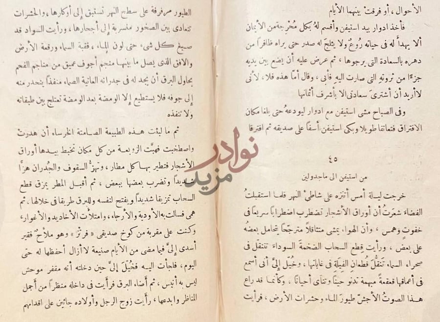صفحة داخلية كتاب الشاعر من استيفن